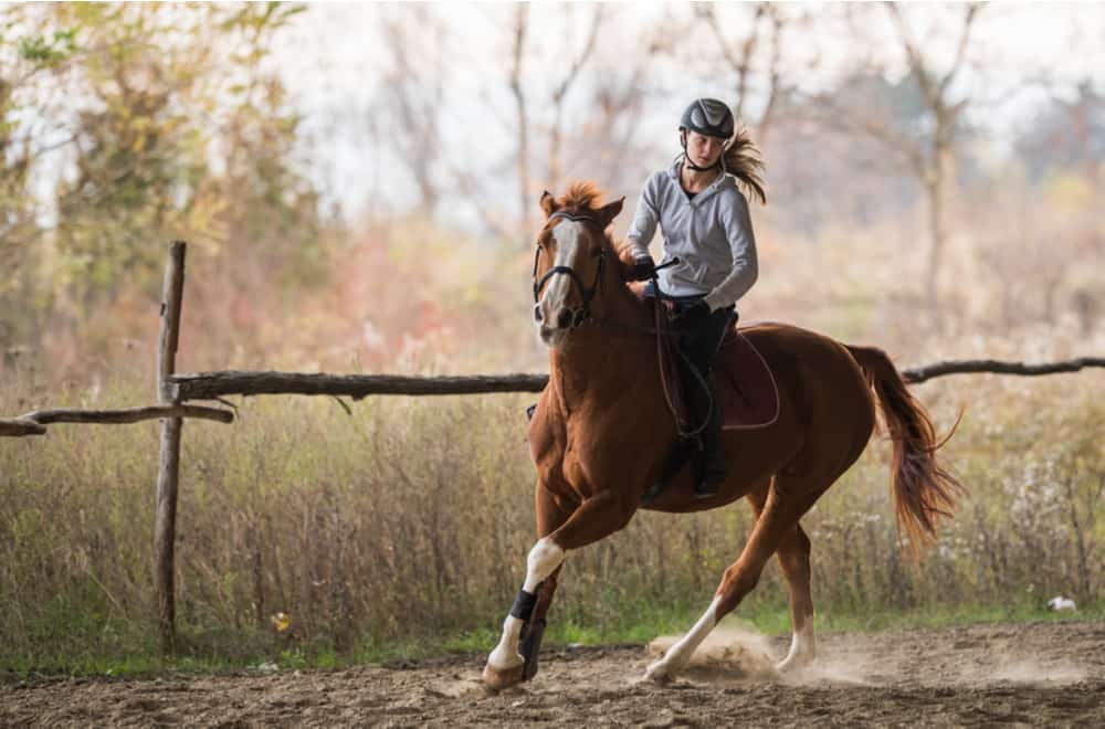 The Two Main Horse-Riding Styles