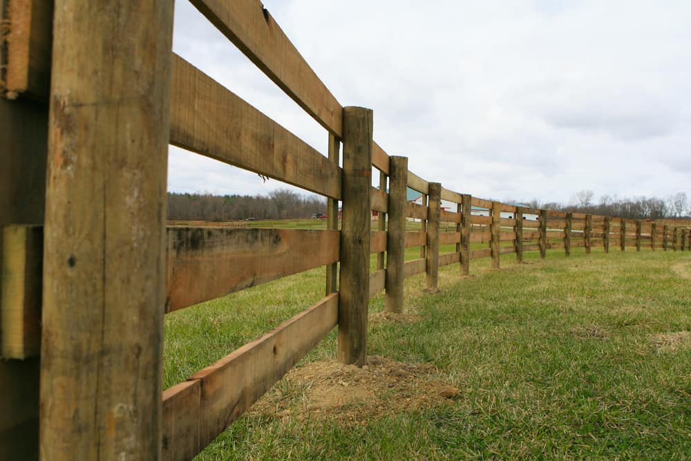 Top 3 Safest Horse Fencing Options